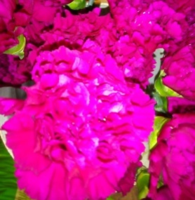 corazón de flores , floristería Garralda (3)
